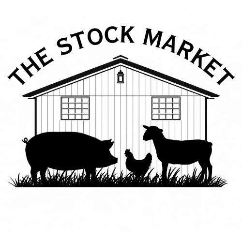 THE STOCK MARKET.jpg