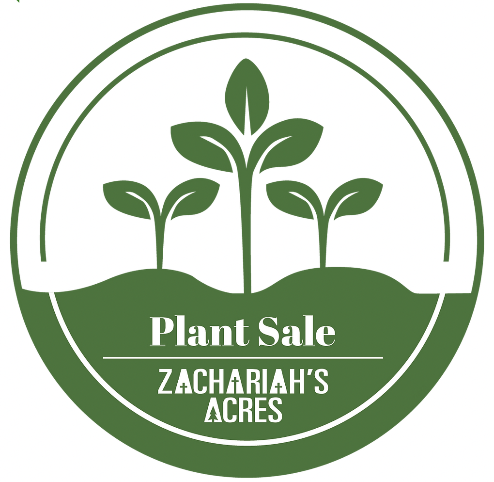 ZA Plant Sale.png